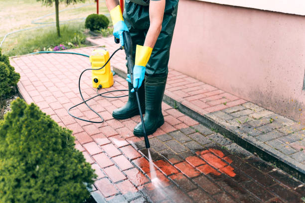 Best Sidewalk and Walkway Cleaning  in Pierz, MN